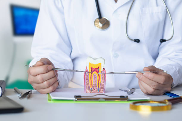 Best Urgent Care for Lost Fillings or Crowns in Weatherby Lake, MO